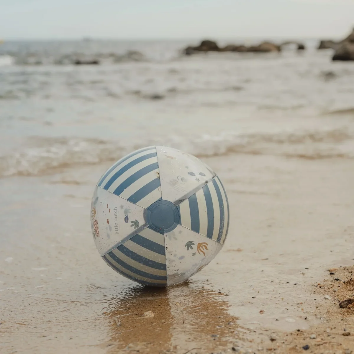 Pelota de Playa Azul Ocean World - Imagen 4