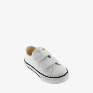 Tribu Tiras Blanca