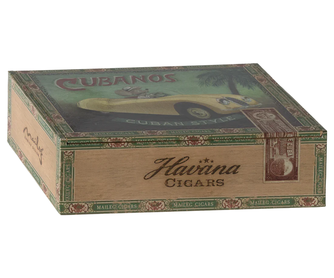 Abuelos ratón en caja - Imagen 5