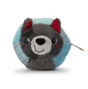 Louis Pelota Lobo