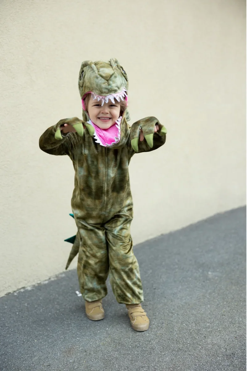 Disfraz Dinosaurio T-Rex - Imagen 5