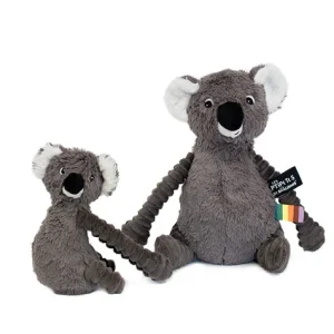 Trankilou The Koala