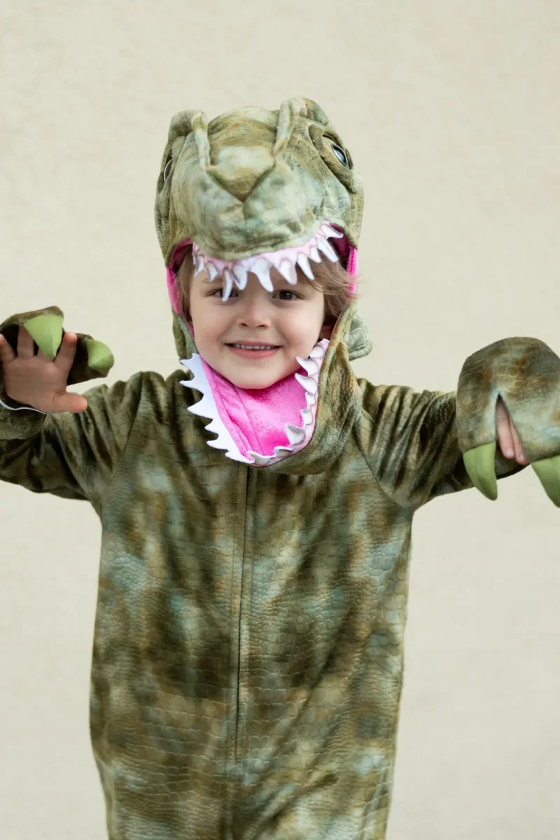 Disfraz Dinosaurio T-Rex