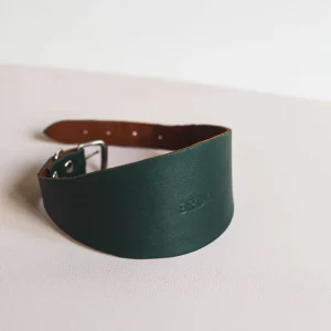 Collar de galgo