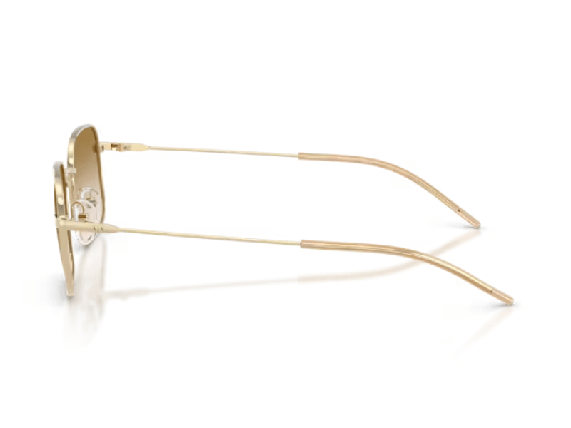 Armani Exchange AX2055 Shiny Pale Gold Brown - Imagen 3