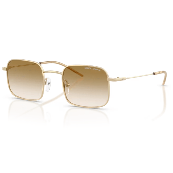 Armani Exchange AX2055 Shiny Pale Gold Brown