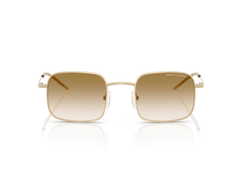 Armani Exchange AX2055 Shiny Pale Gold Brown - Imagen 4