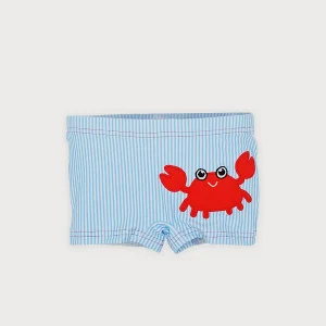 Boxer Tenacitas