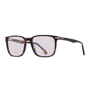 Carrera CA/309 Tortoise
