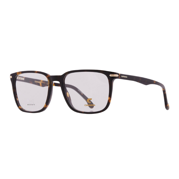 Carrera CA/309 Tortoise