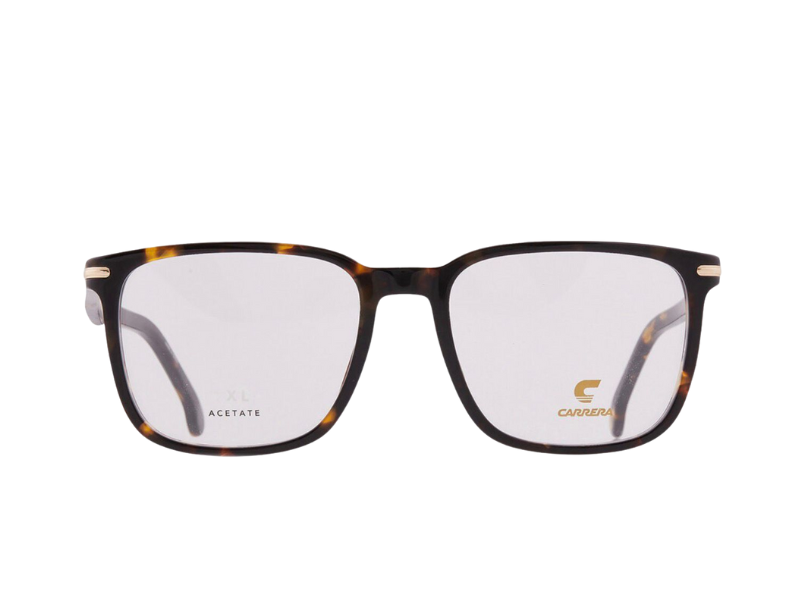 Carrera CA/309 Tortoise - Imagen 3