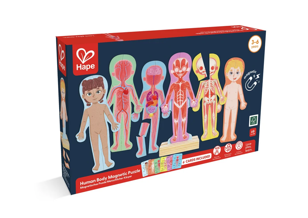 Rompecabezas Magnético del Cuerpo Humano - Imagen 2