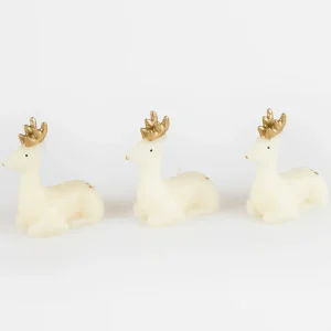 Velas pequeñas de renos de marfil