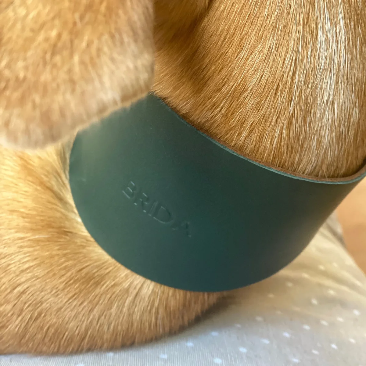 Collar de galgo - Imagen 4
