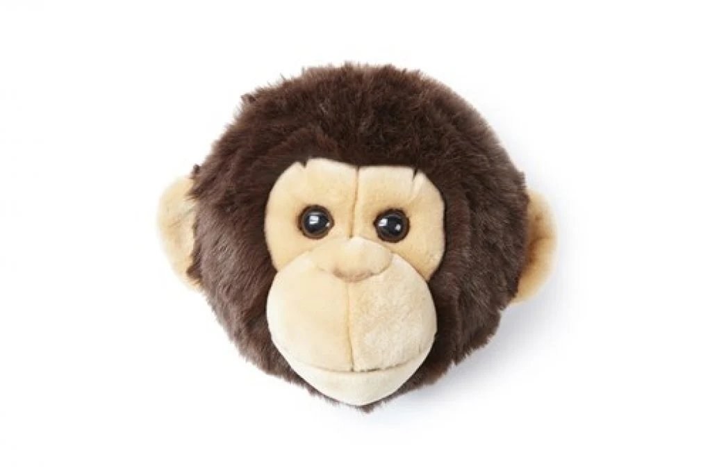Cabeza Monkey Joe
