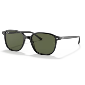Ray Ban Leonard RB2193 Polished Black G-15