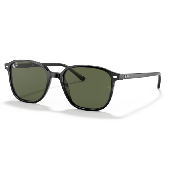 Ray Ban Leonard RB2193 Polished Black G-15