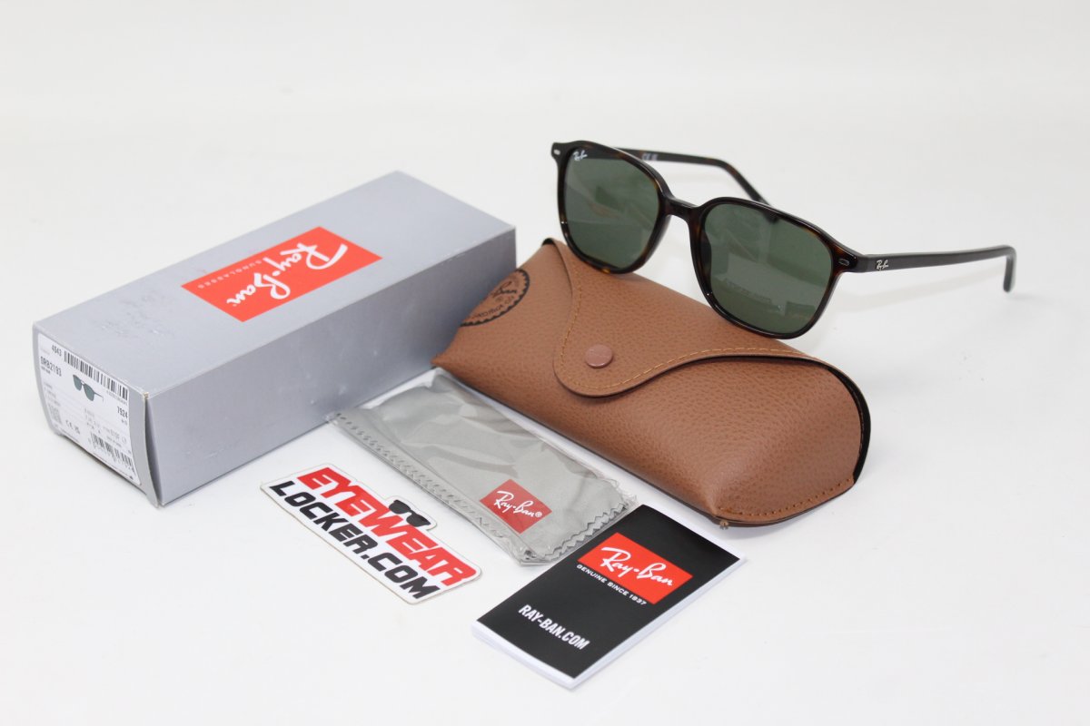 Ray Ban Leonard RB2193 Polished Black G-15 - Imagen 6
