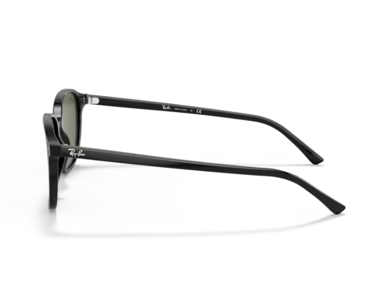 Ray Ban Leonard RB2193 Polished Black G-15 - Imagen 3