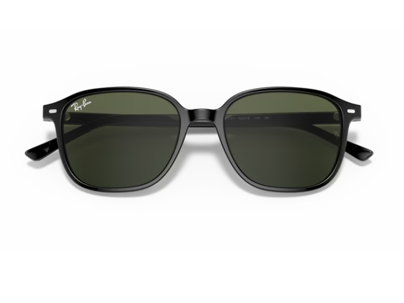 Ray Ban Leonard RB2193 Polished Black G-15 - Imagen 4