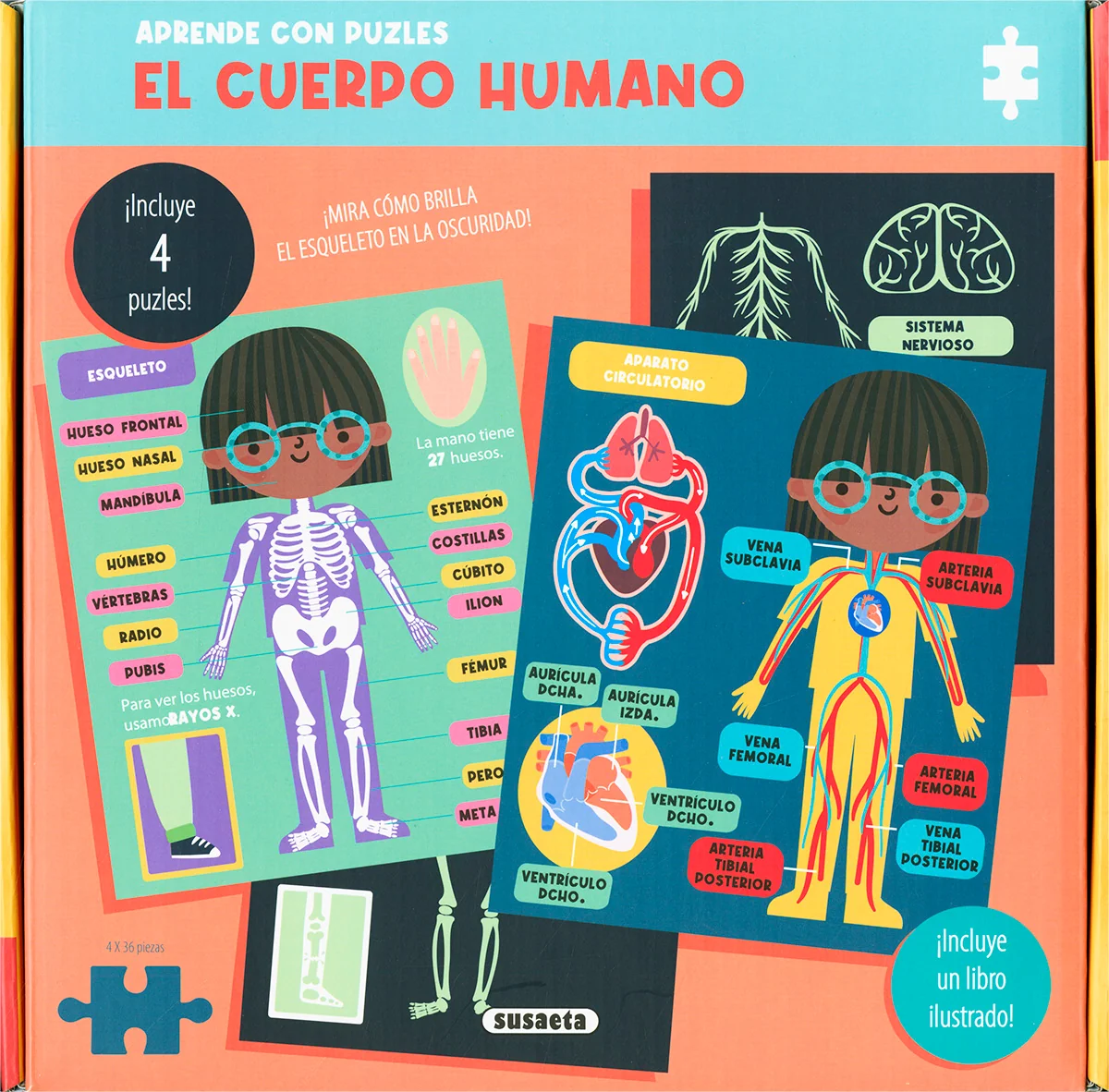 El Cuerpo Humano - Puzzle con Libro - Imagen 2
