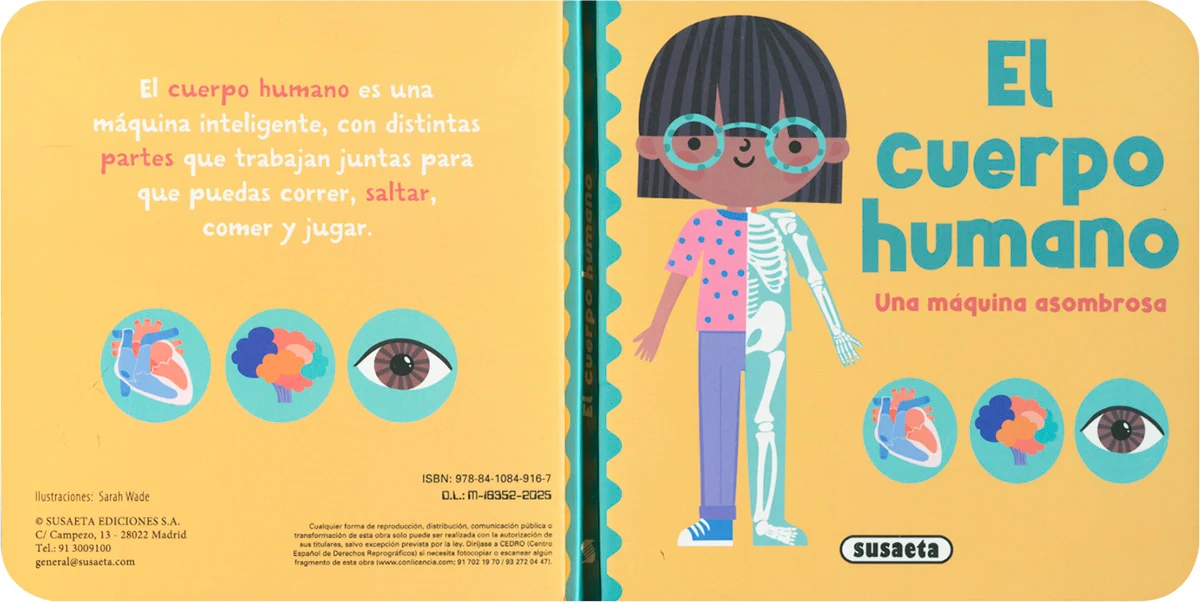 El Cuerpo Humano - Puzzle con Libro - Imagen 3