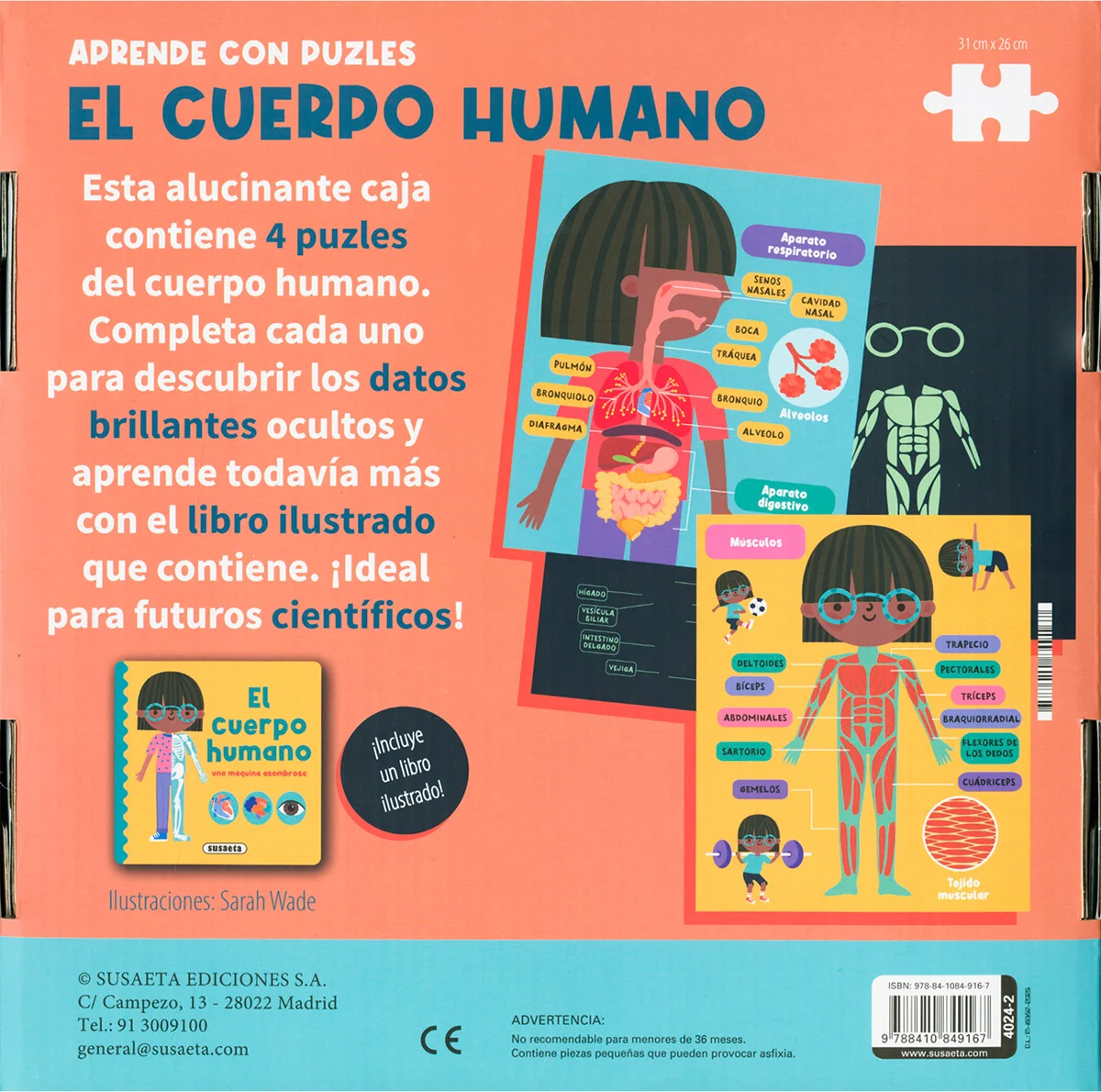 El Cuerpo Humano - Puzzle con Libro - Imagen 5