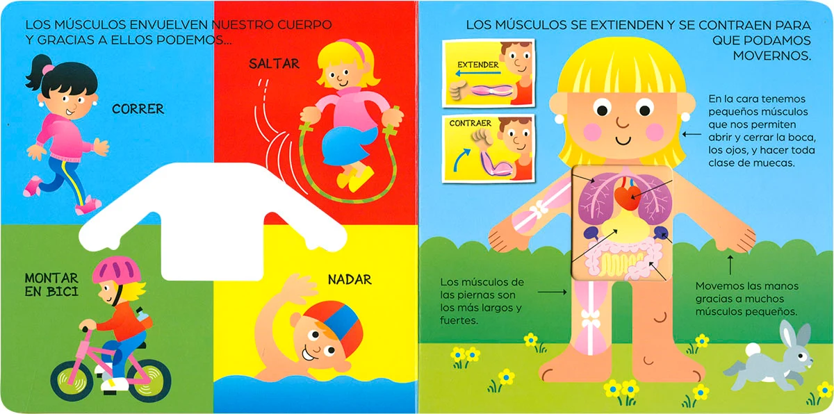 El Cuerpo Humano por Dentro - Imagen 3