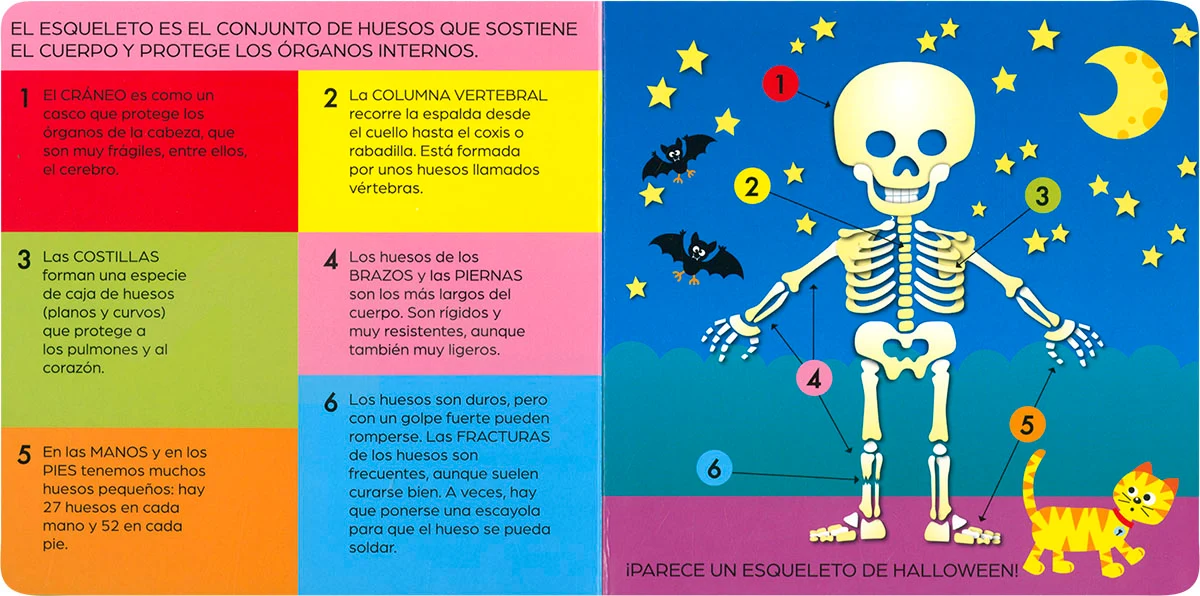 El Cuerpo Humano por Dentro - Imagen 4
