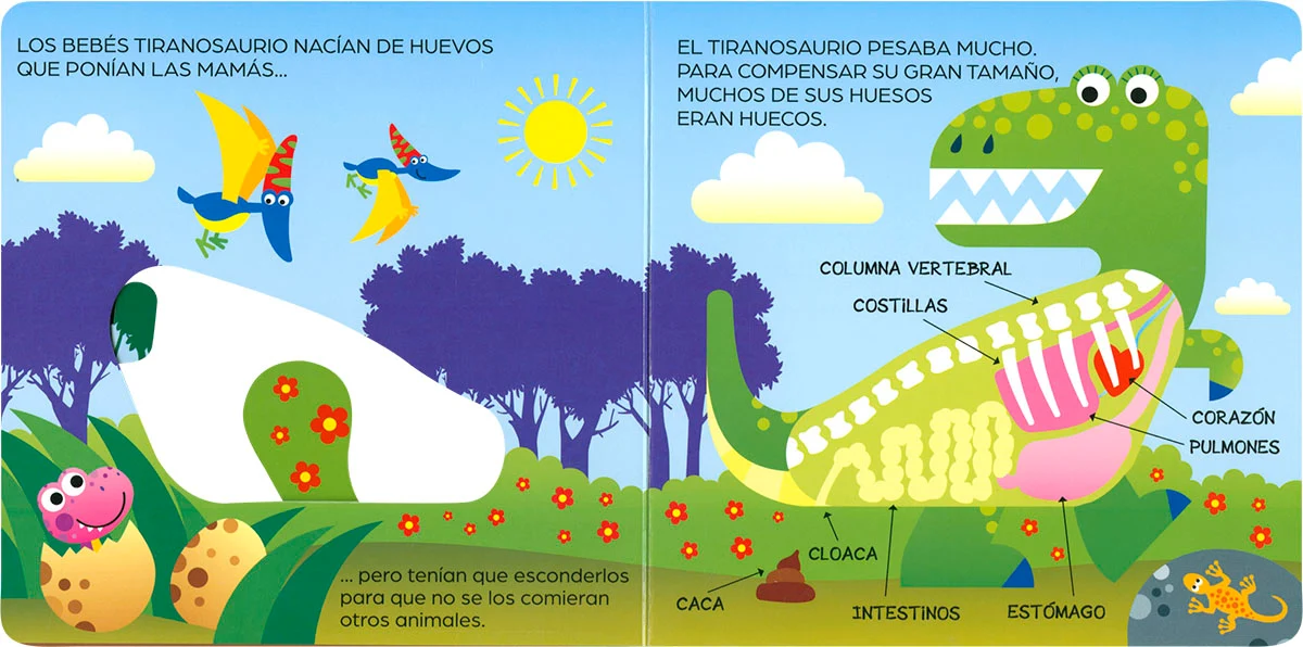 Un Dino por Dentro - Imagen 4