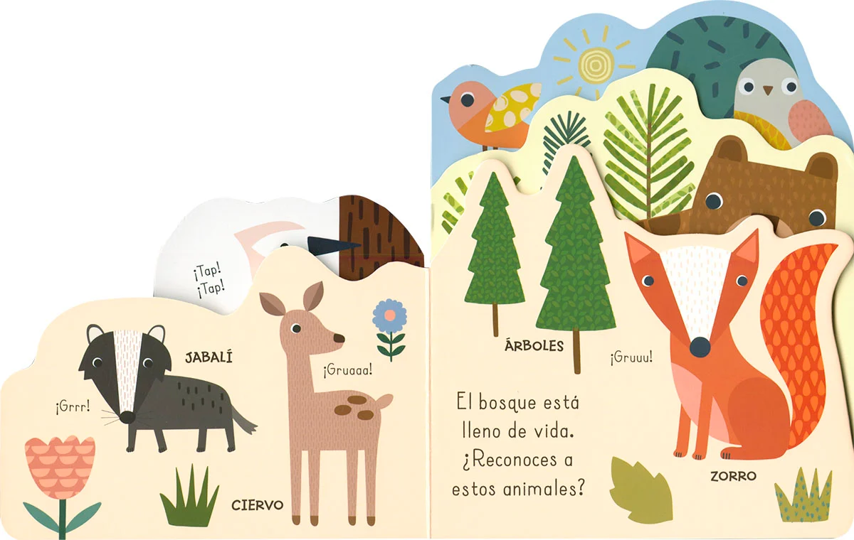Pequeño Mundo Bosque - Imagen 4