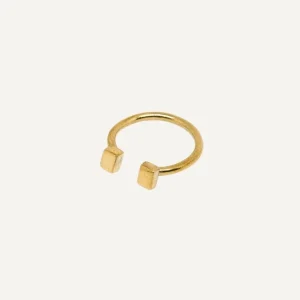 Anillo Ine