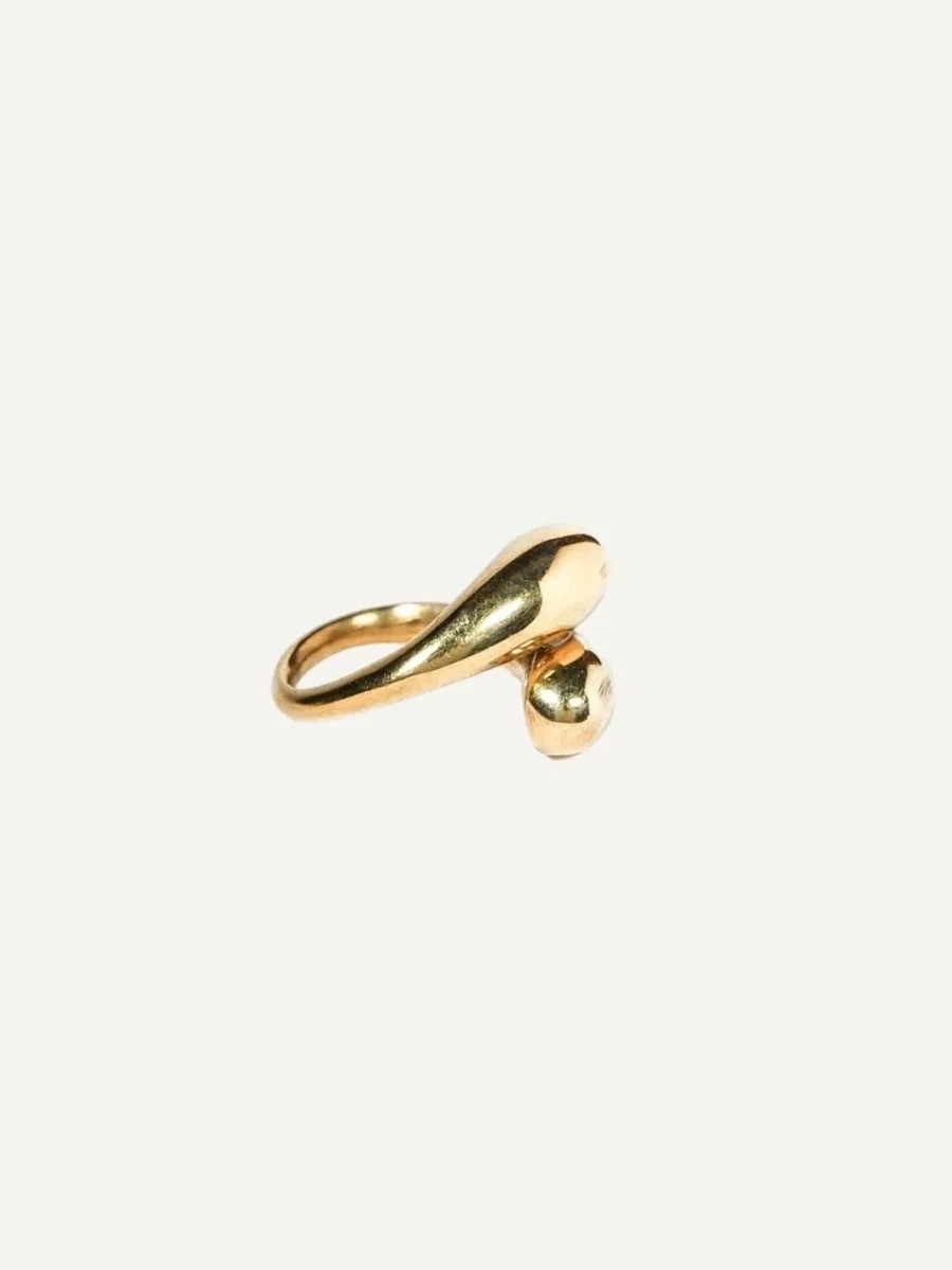 Anillo Asani - Imagen 3